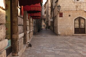 Zdjęcie do artykułu: Koty a podróże – co zrobić, by nie stresować zwierzaka